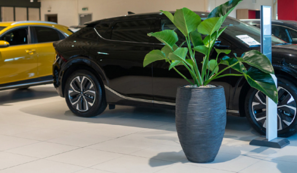 Custom alt attribute Custom alt attribute